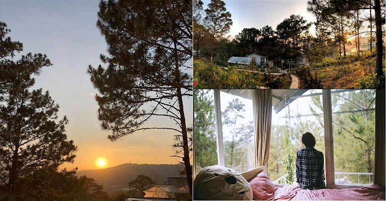 View Cực Chill Của Pine Hill HomeStay