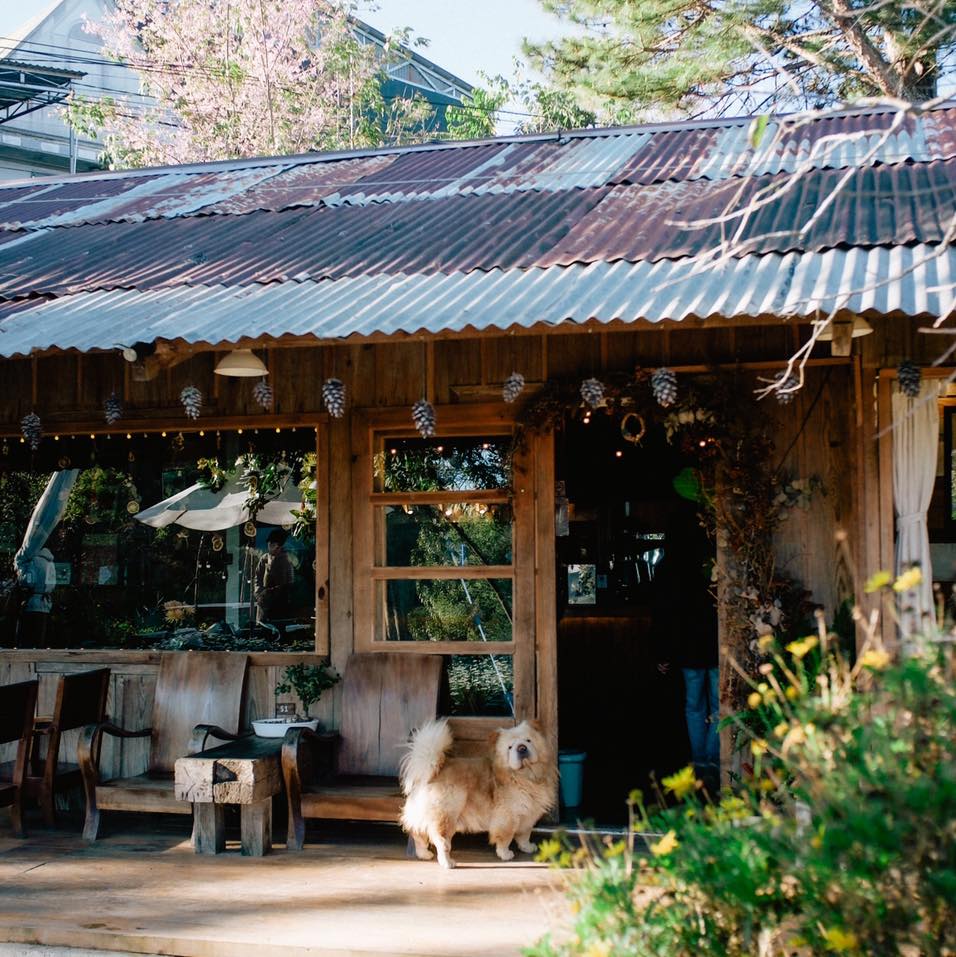Check in Đà Lạt 
