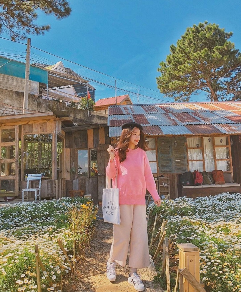 Áo Len & Quần Culottes