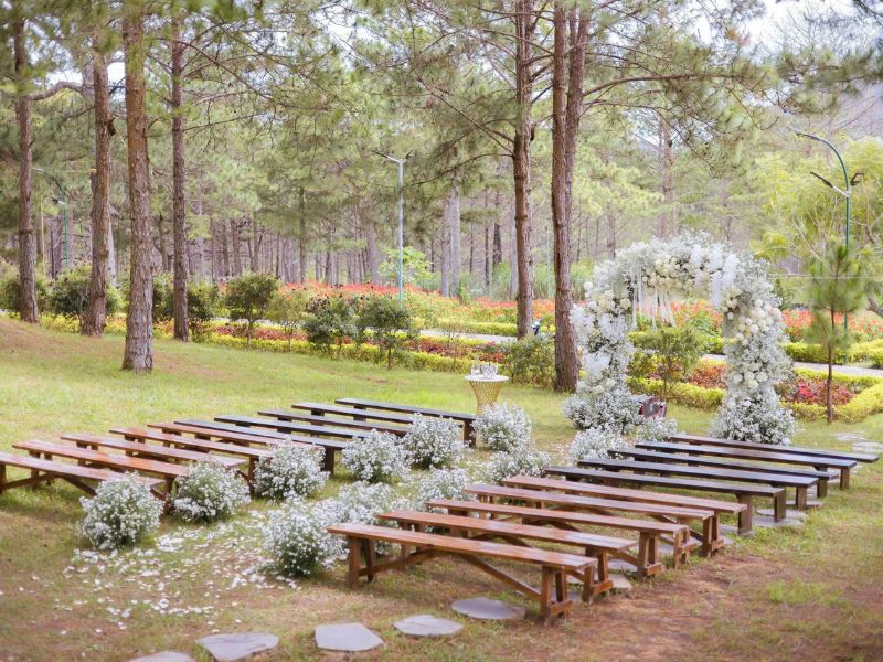 concept romantic forest