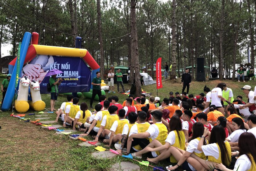 dịch vụ tổ chức team building tại rừng lá kim